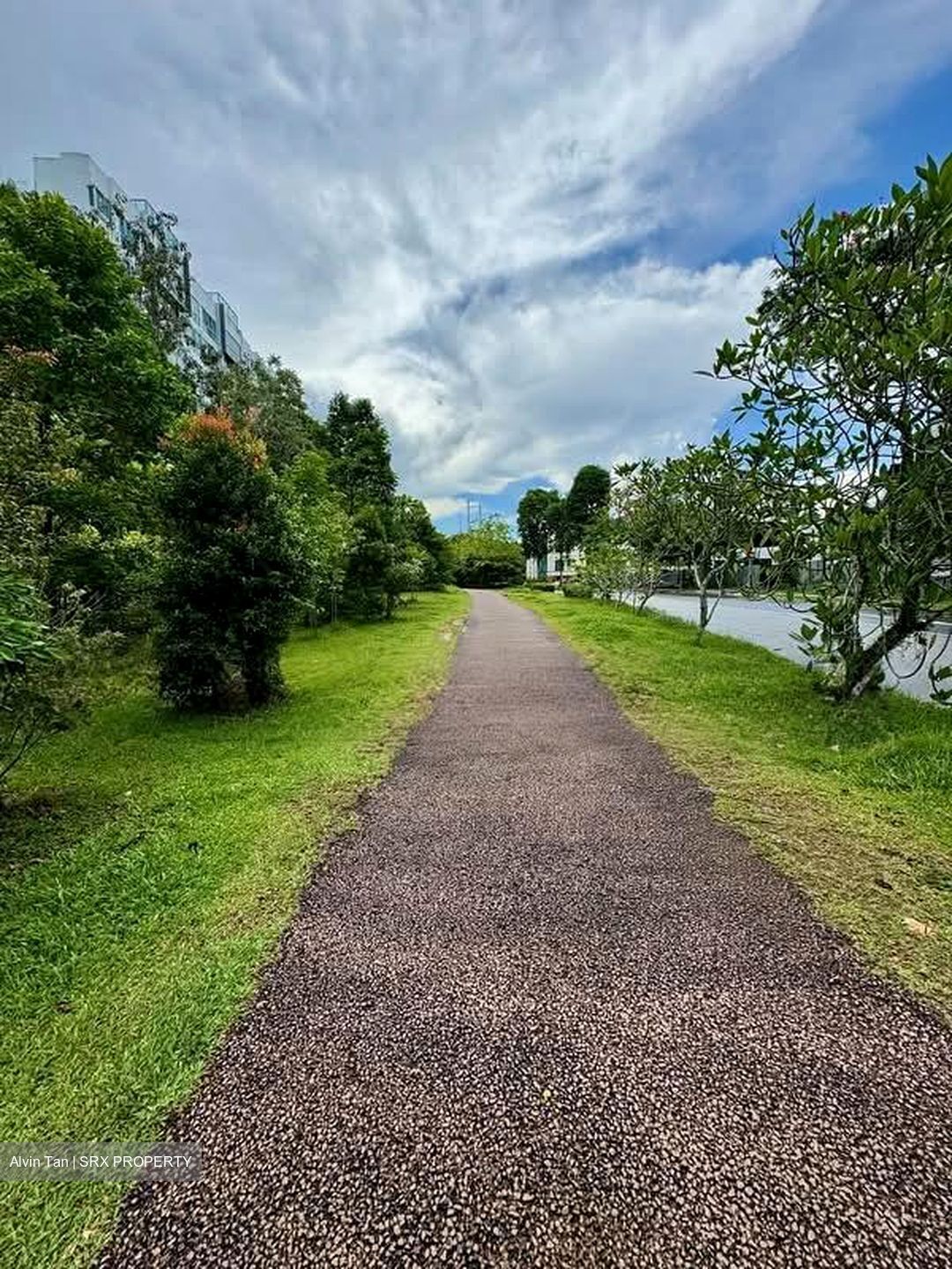 Bukit Timah Road (D21), Detached #549113841